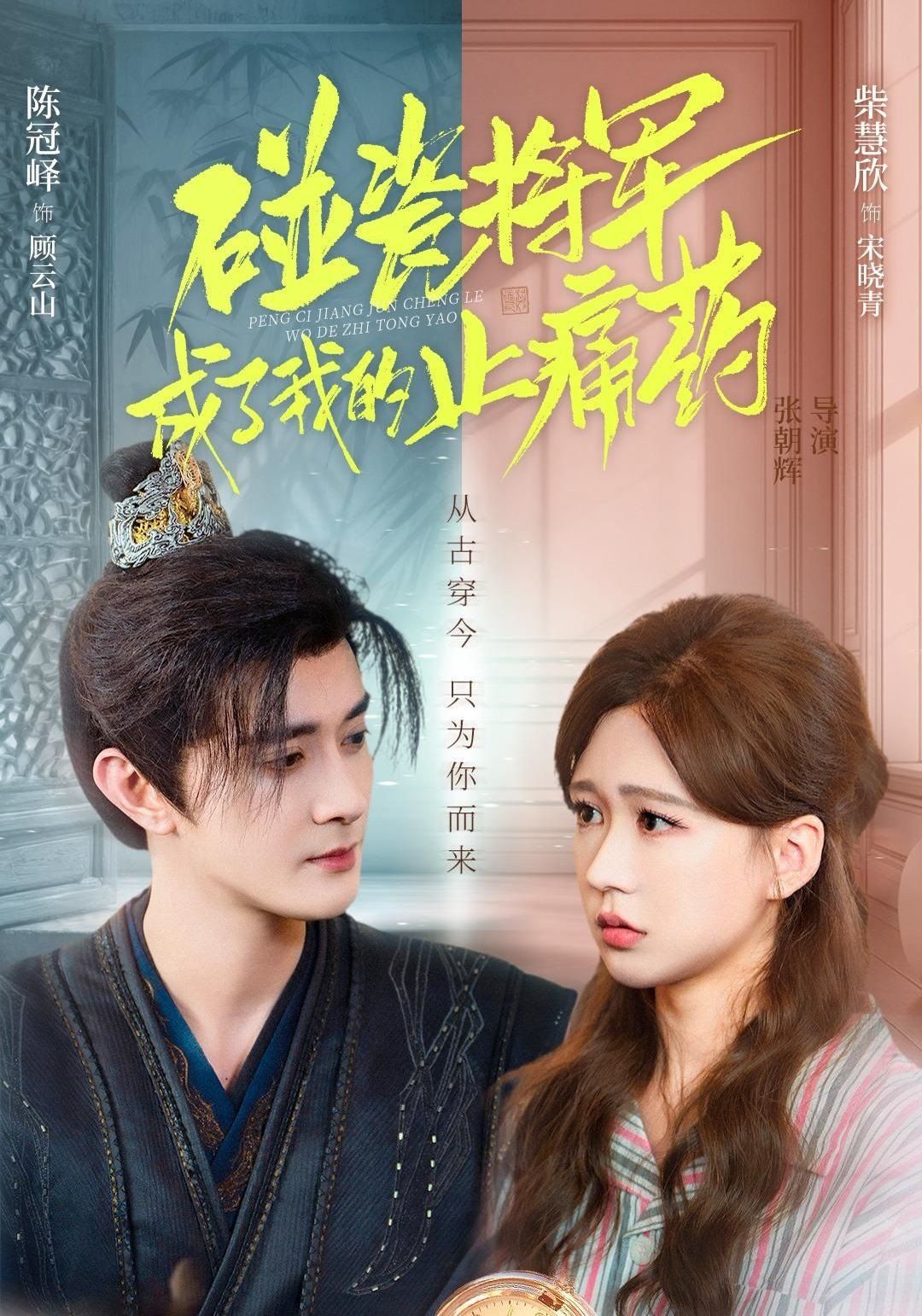 碰瓷將軍成了我的止痛藥