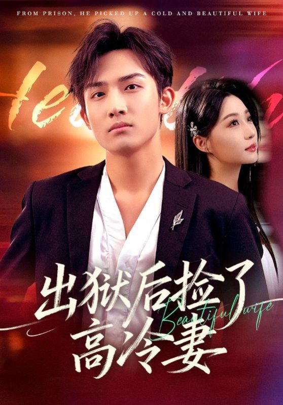 出獄后撿了高冷妻