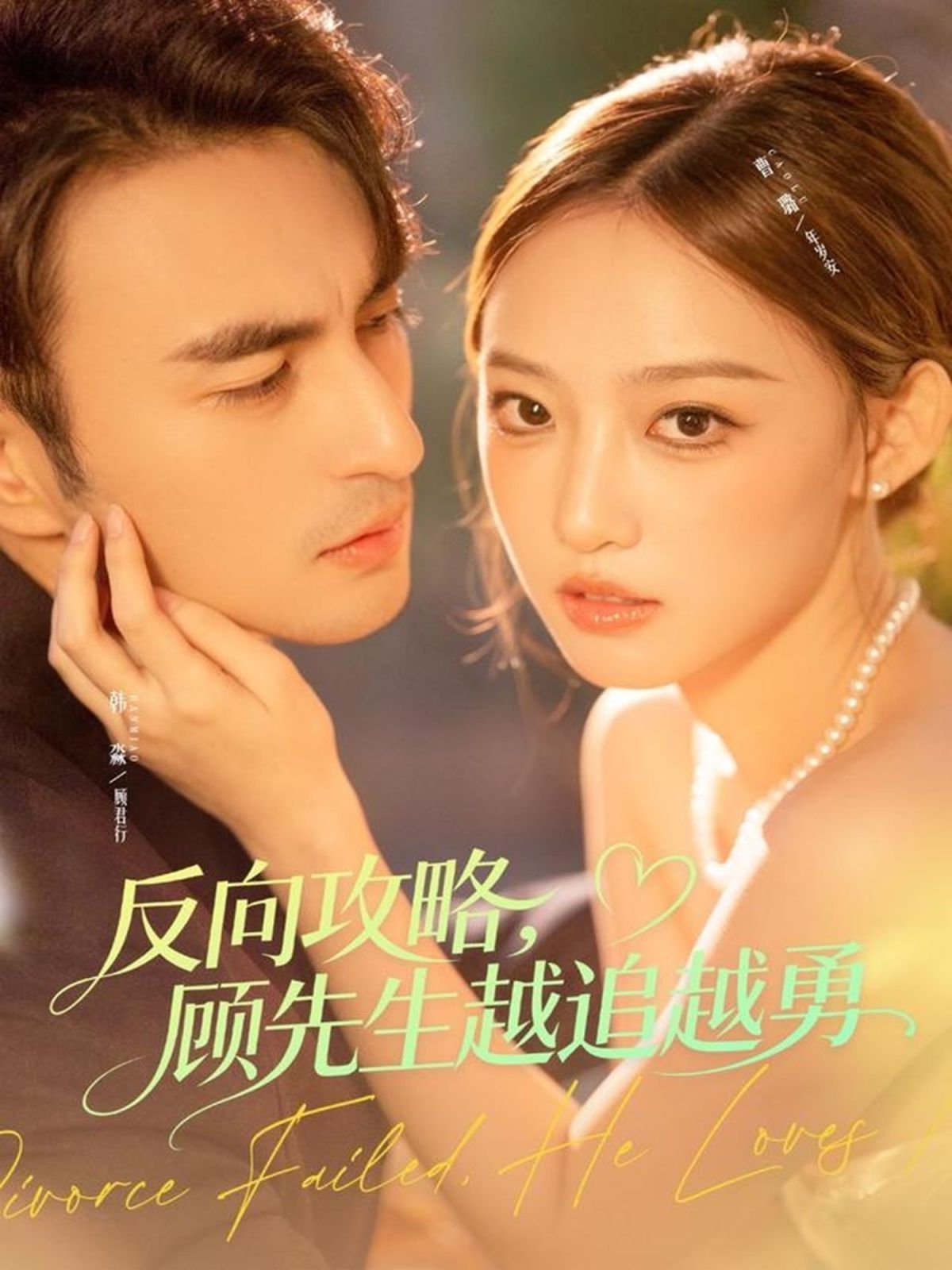 反向攻略，顧先生越追越勇