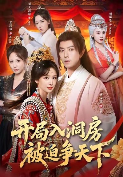 開局入洞房，被迫爭天下