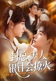 封總，夫人銀針會(huì)撩火