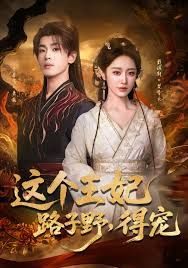 這個王妃路子野，得寵