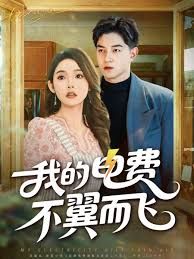 我的電費(fèi)不翼而飛