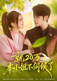 就20萬！本小姐不伺候了