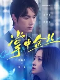 掌中金絲（長姐她竟是隱藏大佬）